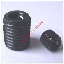 Plunger Tube Retainer Screw/Hexagon Socket Set Screw